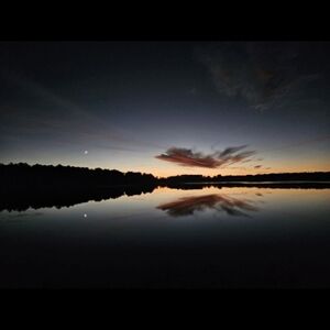 Meet your Posher, Morgan grace